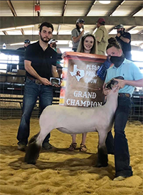 Harrell Winners