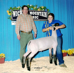 Harrell Club Lambs