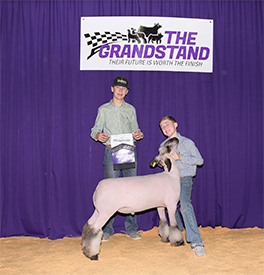 Harrell Club Lambs Winners