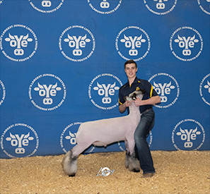 Harrell Club Lambs Winners