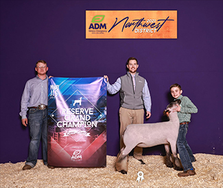 Harrell Club Lambs Winners